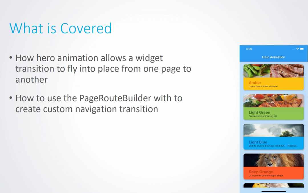 Flutter Hero Widget and PageRouteBuilder Animation