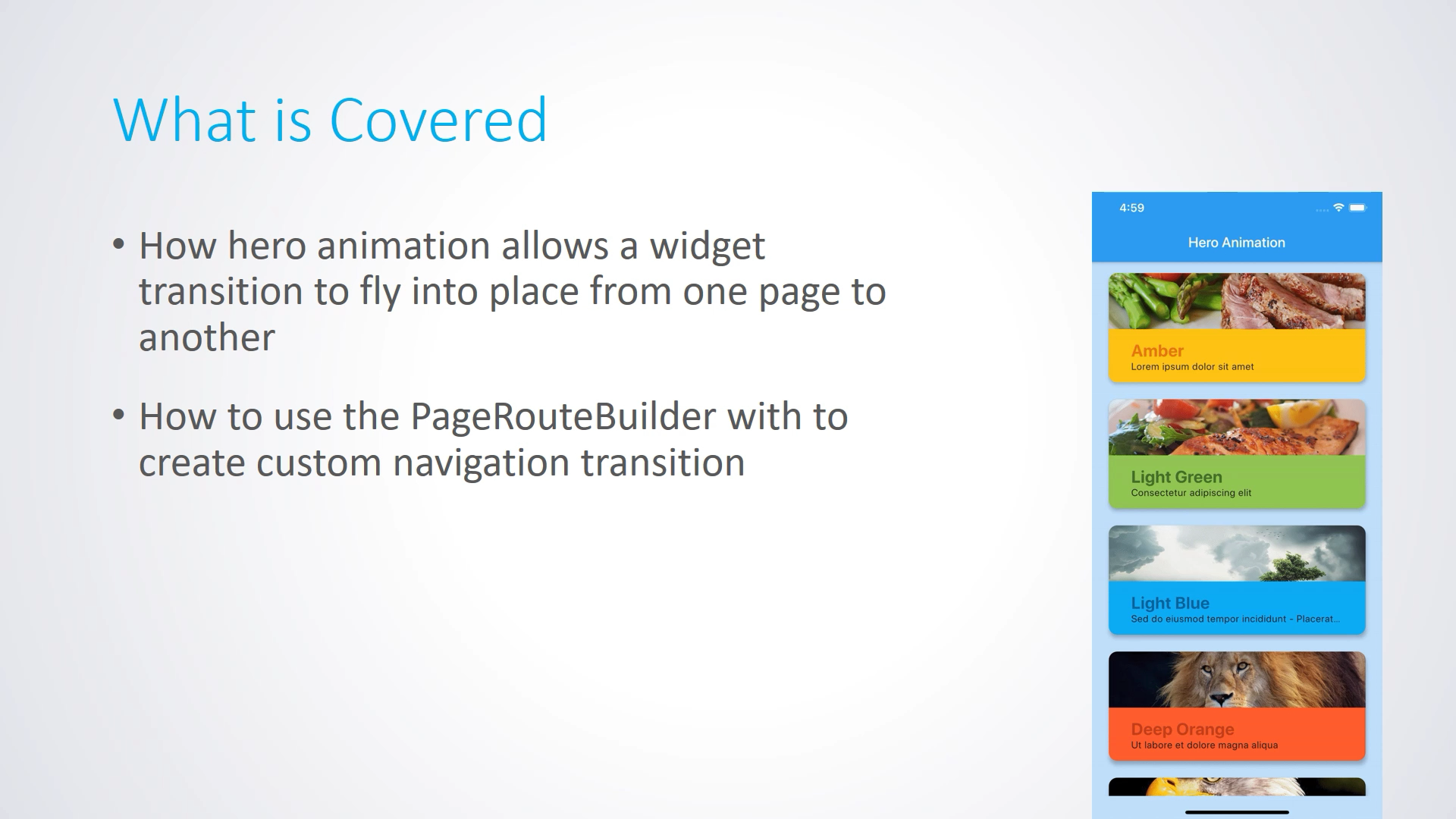 Flutter Hero Widget and PageRouteBuilder Animation | JediPixels - Beginning  Flutter: A Hands On Guide To App Development